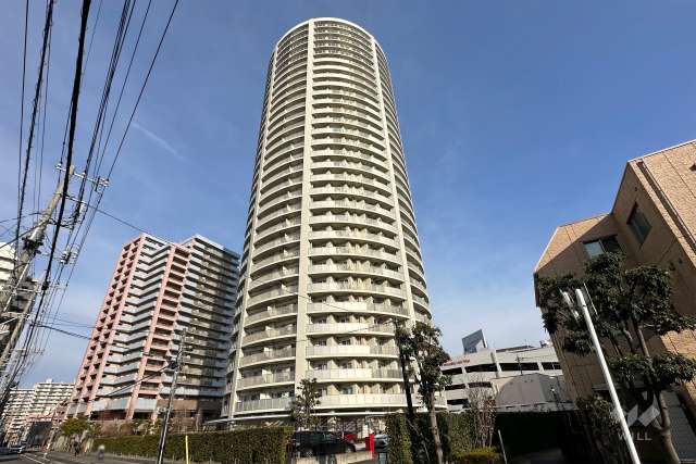 ドリームタワーキュアレジデンスの外観（南西側から）