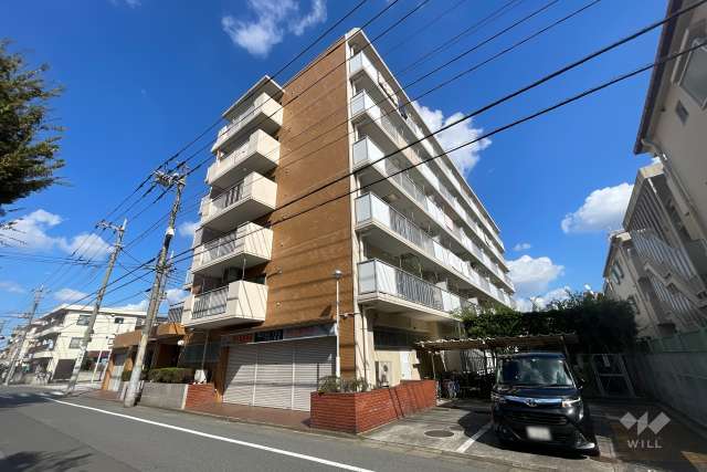 マンションの外観、公園