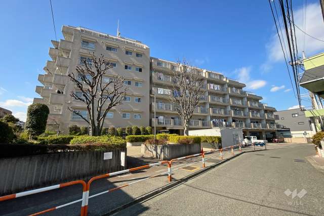 竹の塚ハイツの外観（南東側から）
