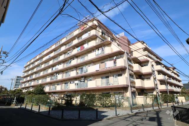 ダイアパレス綾瀬の外観（南東側から）