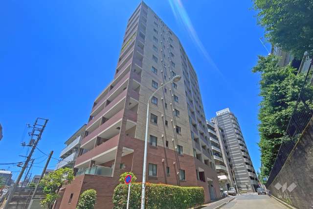 ルピナス大山グランドタワーＩステージの外観（南東側から）