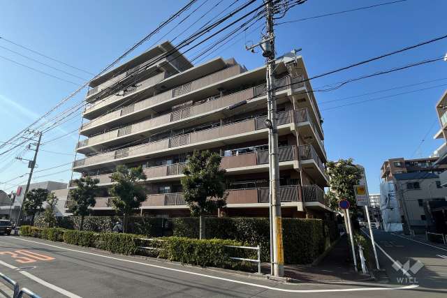 ビューネ蓮根城北公園の外観（南東側から）
