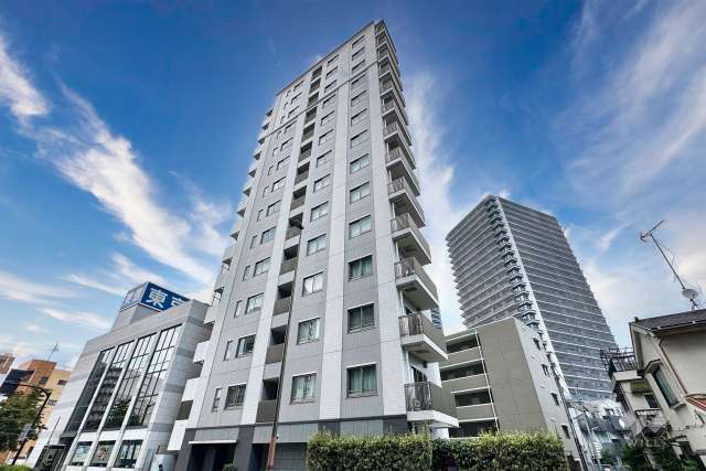 パークハウス大山の外観（南側から）