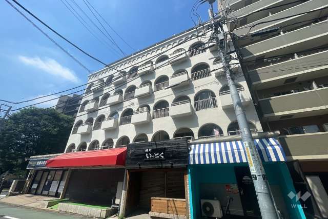 アルプスマンションの外観（北東側から）