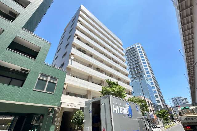 白鳩マンションの外観（南西側から）