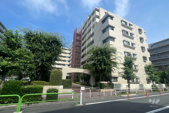マンションの外観、公園