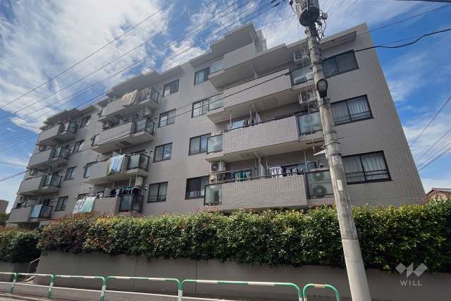 ルーエ成増の外観（南東側から）