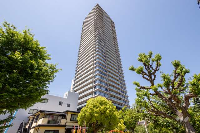 グランドメゾン上町1丁目タワーの外観（南東側から）