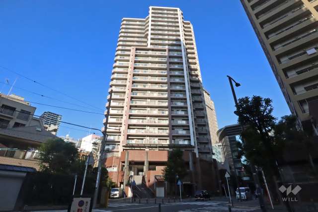 イクス川崎ザタワーの外観（南西側から）
