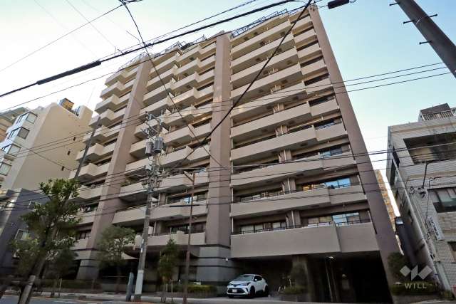 シーアイマンション上野の外観(北東側から)