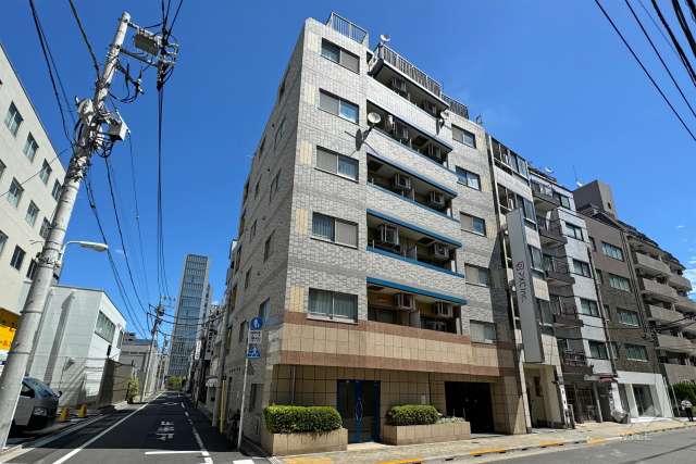 上野アムフラットの外観（南西側から）