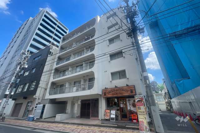 上野スカイハイツの外観（南西側から）