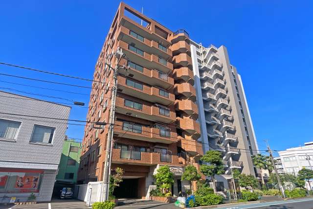 セザール第二堀切菖蒲園の外観（北東側から）