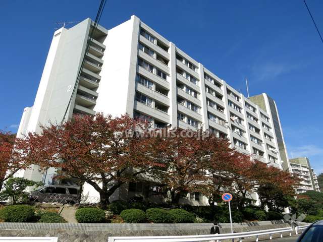 マンションの外観