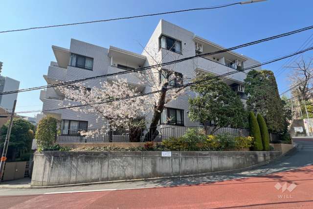 西片サニーハイツの外観（南側から）