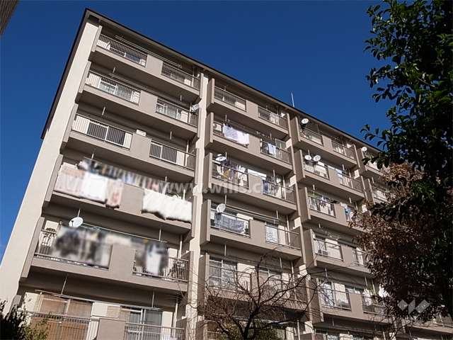 緑ヶ丘マンション南棟の外観（南側から）