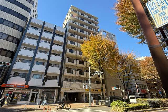 池袋ダイカンプラザ外観（南東側から）