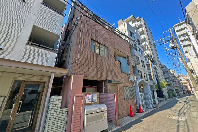 ハーミテイジの外観（東側から）