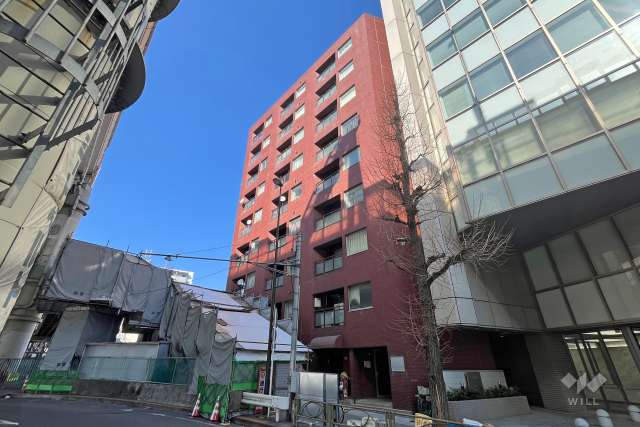 日興パレス池袋の外観（南側から）