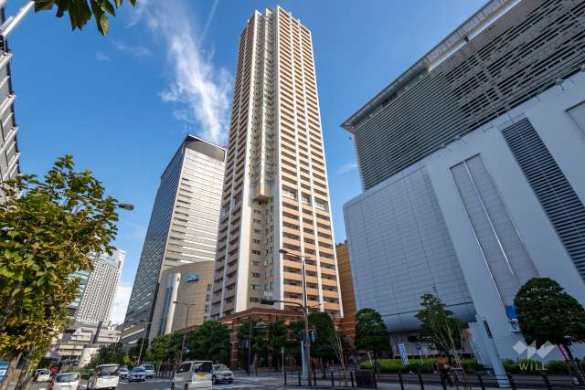 ザなんばタワーレジデンスインなんばパークスの外観（南西側から）