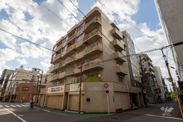 ダイアパレス難波の外観（北東側から）