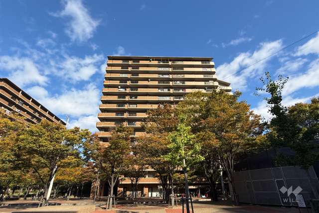 四季彩館けやき館の外観（東側から）