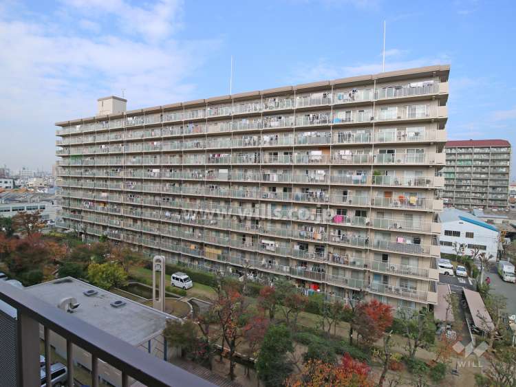 レックスタウン新高1号棟