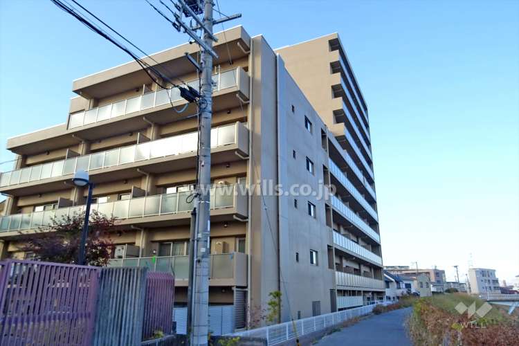 ラウロ相川リーヴァ