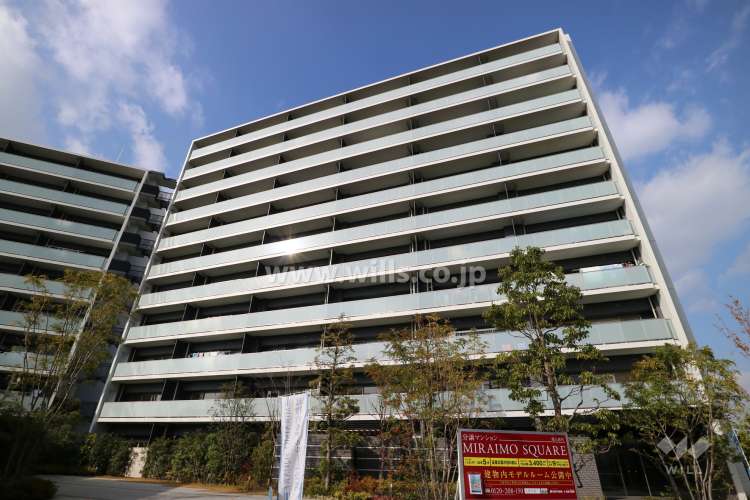MIRAIMO SQUARE