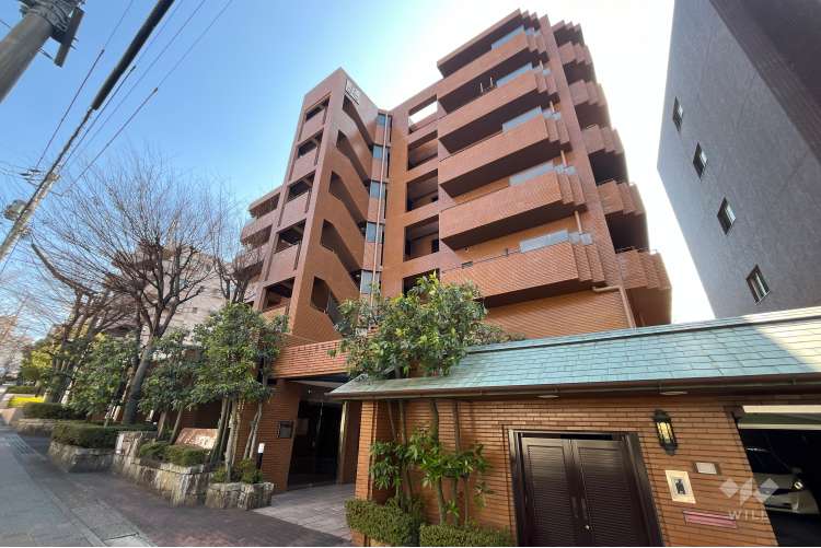 三旺マンション猫洞