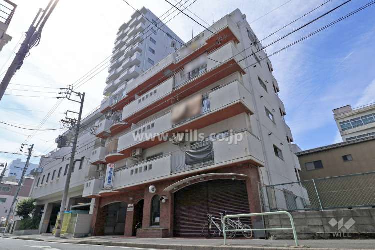 ドリームマンション金山