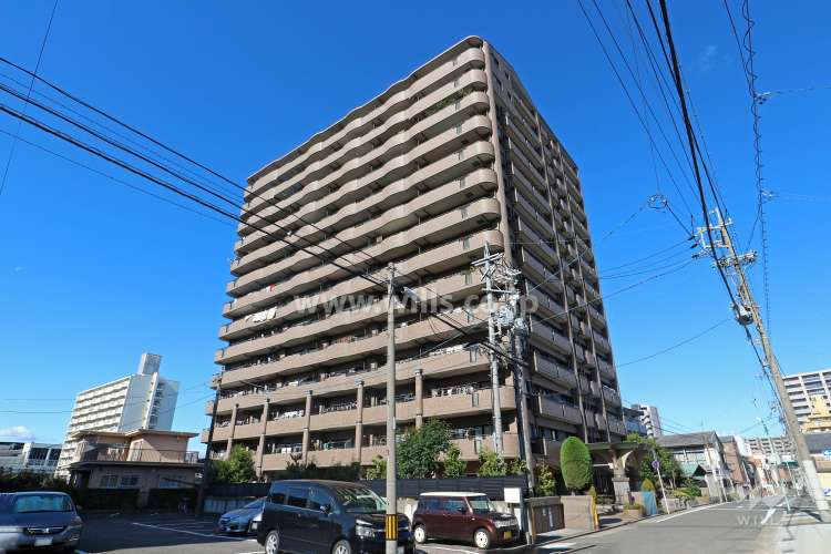 ライオンズシティ金山