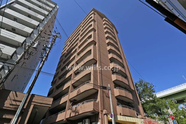 ジャルダン老松