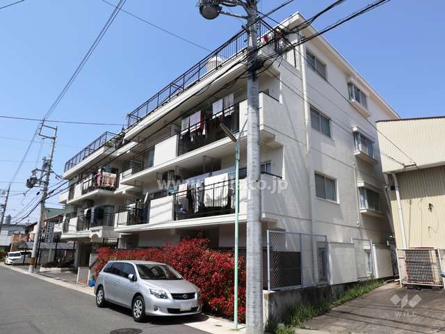 第2名東アイリス