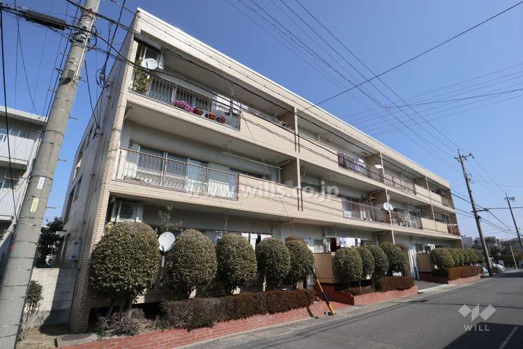 コープ野村一社イレブン