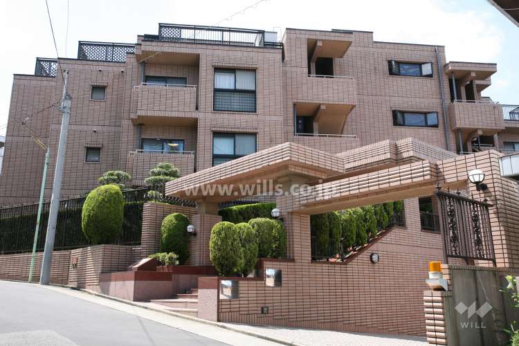 グラシオン山中