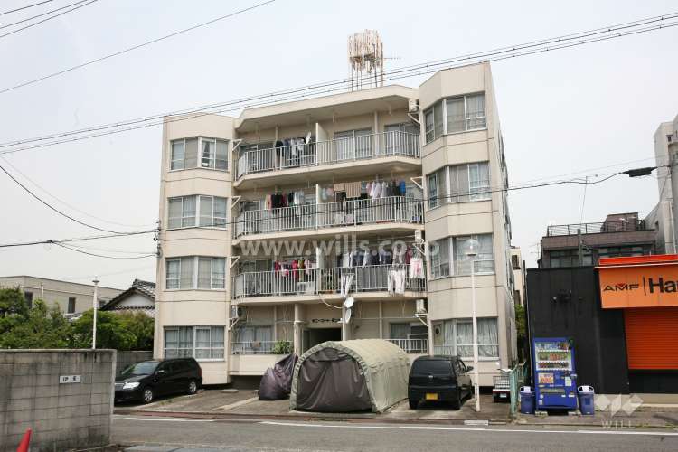 サニーコートダンケイ