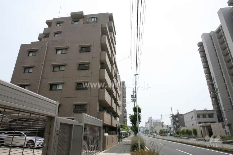 ソフィア藤成通