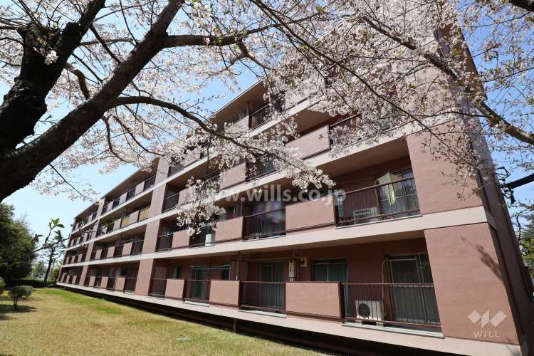 鍋屋上野住宅3号棟