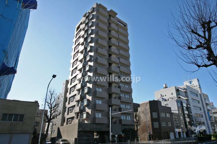 プレシアスコート山吹