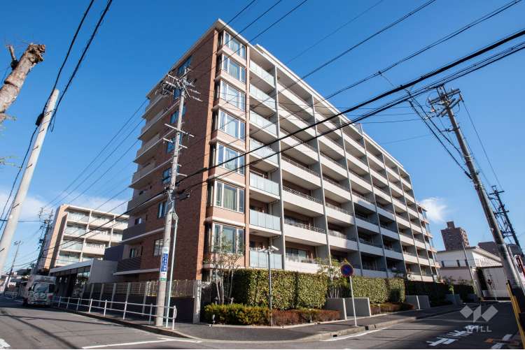 マストスクエア白壁