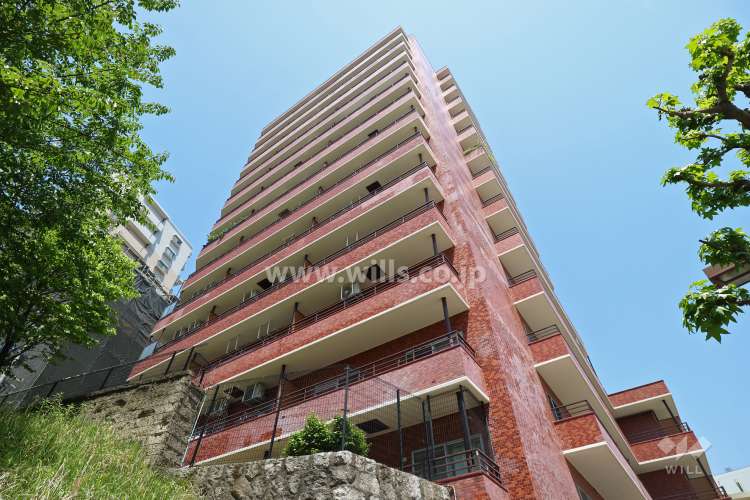 シャンボール芳野