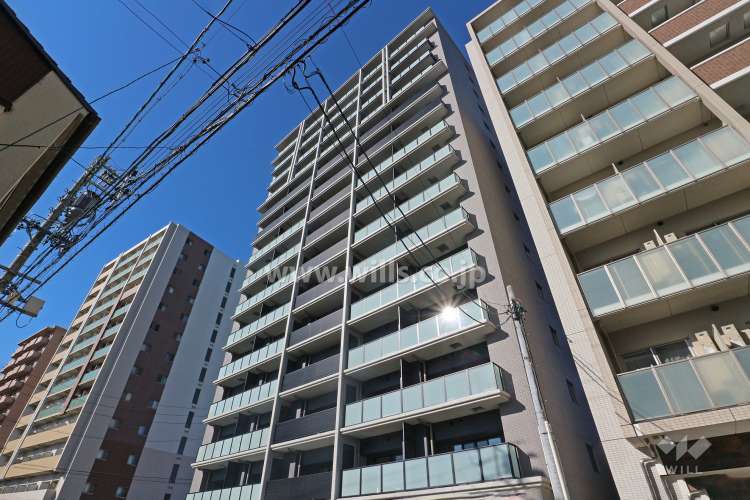 ザ・プラセシオン金山