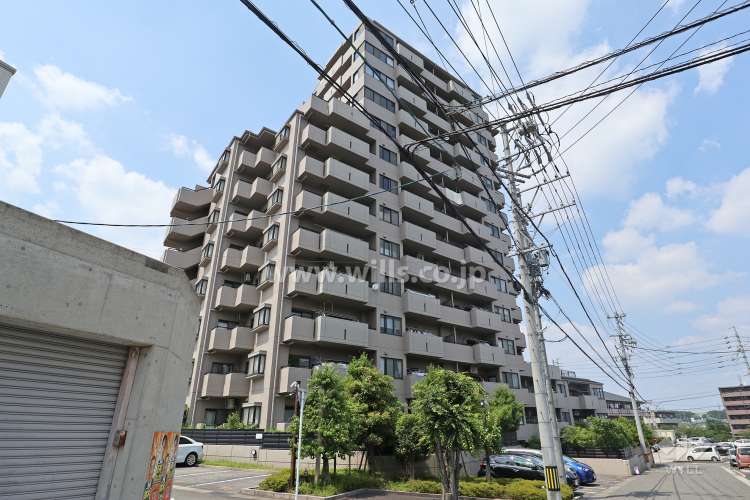 グローリアス長久手図書館通り