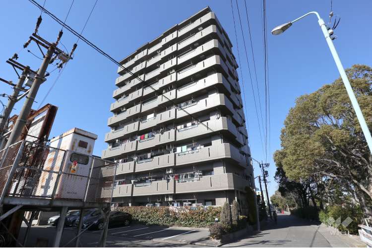 ユーハウス正徳