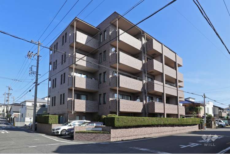 アルカディアハウス関取