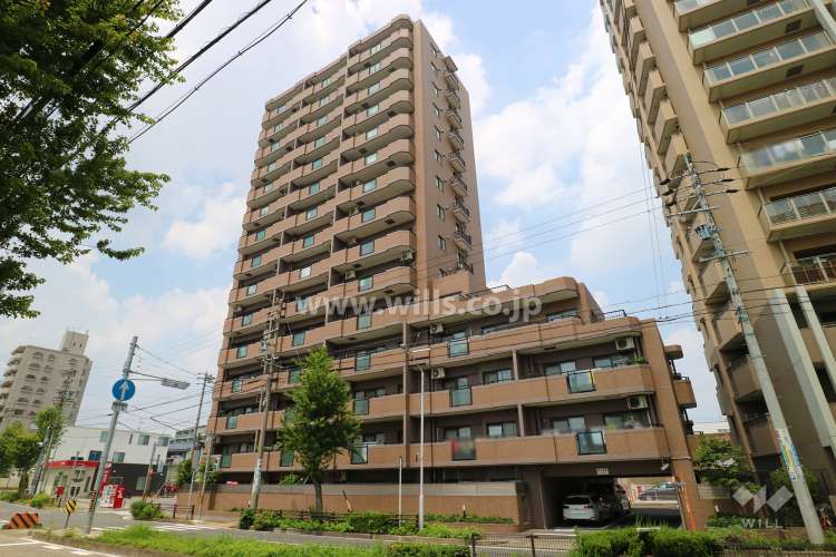 マルベリー瑞穂