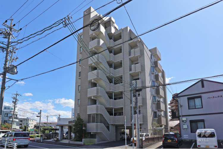 モアグレース歌里