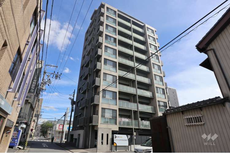 バンベールグラン花の木