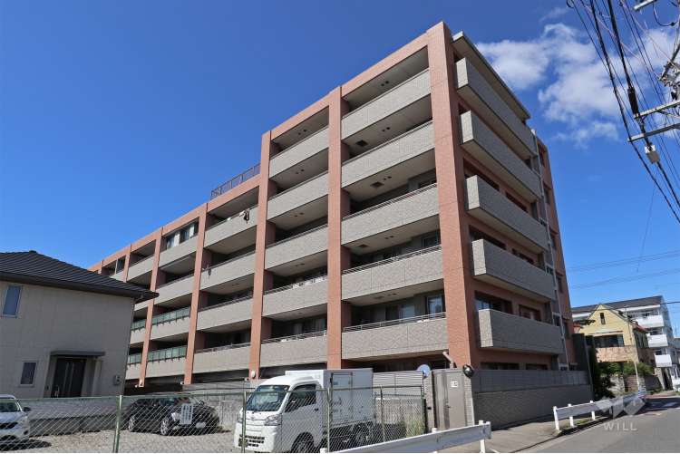 カルティア庄内緑地公園